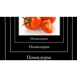 ФАННИ ЧЕ