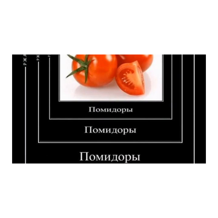 ФАННИ ЧЕ