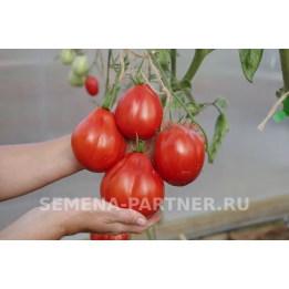 КАХУРИ