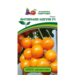 ЯНТАРНАЯ КАПЛЯ