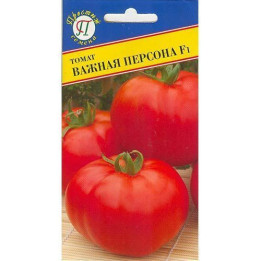 БЕРКУТ