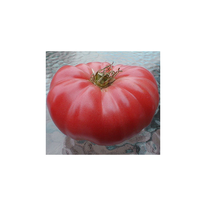 РОЗОВЫЙ БЫК