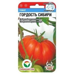 ГОРДОСТЬ СИБИРИ