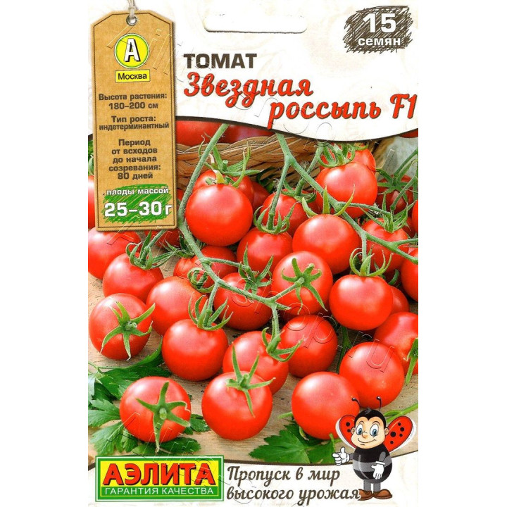 ЗВЕЗДНАЯ РОССЫПЬ