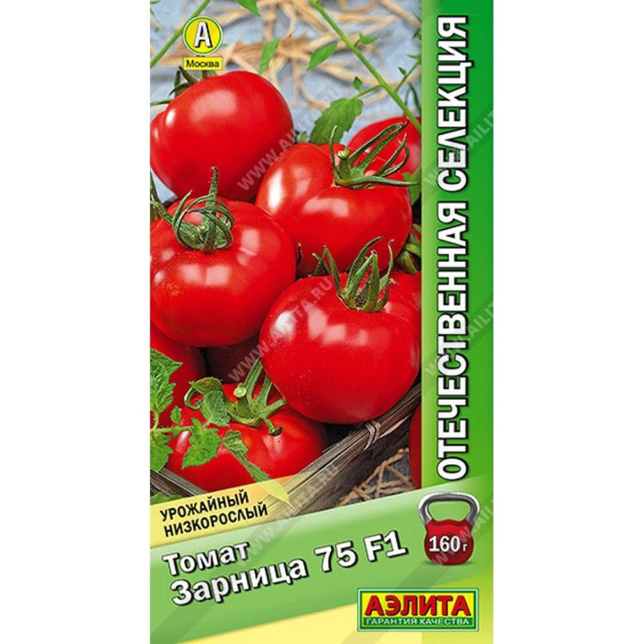 ЗАРНИЦА 75