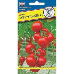 МЕТРОПОЛЬ