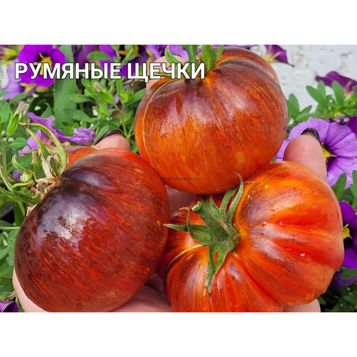 АППЕТИТНЫЕ ЩЕЧКИ