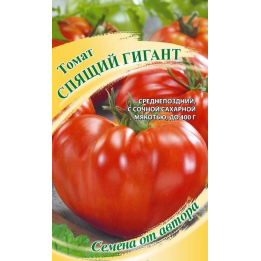 СПЯЩИЙ ГИГАНТ