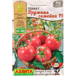 ДРУЖНАЯ СЕМЕЙКА