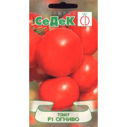 ОГНИВО