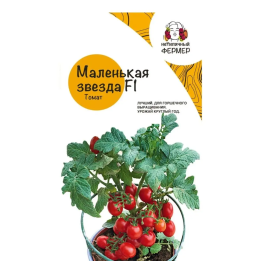 МАЛЕНЬКАЯ ЗВЕЗДА