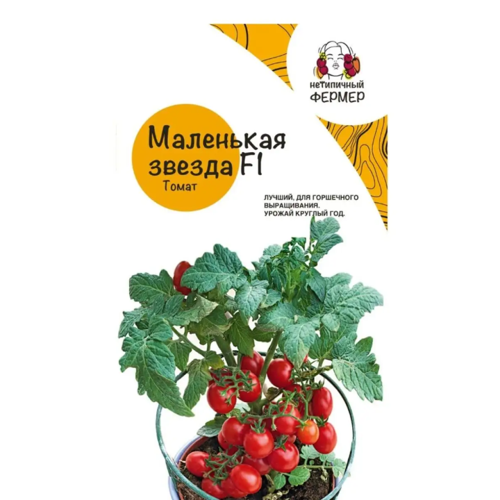 МАЛЕНЬКАЯ ЗВЕЗДА