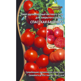 СПАССКАЯ БАШНЯ