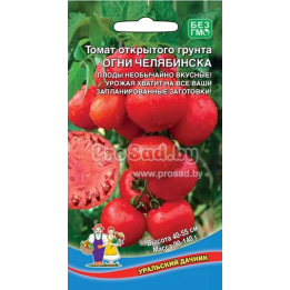 ОГНИ ЧЕЛЯБИНСКА