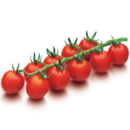 ДРК 564
