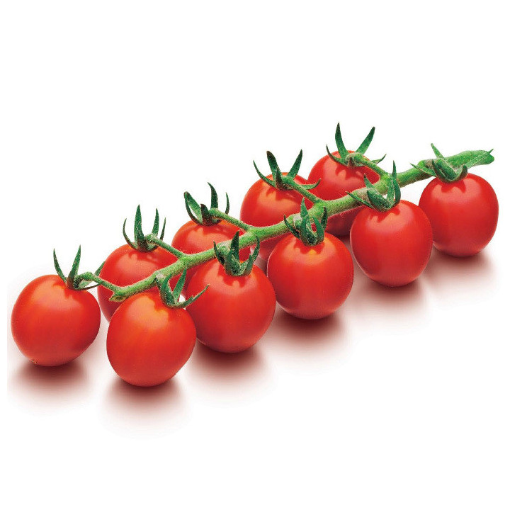 ДРК 564