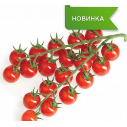 КУРТИНО