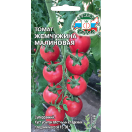 ЖЕМЧУЖИНА МАЛИНОВАЯ