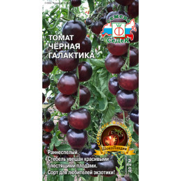 ЧЕРНАЯ ГАЛАКТИКА