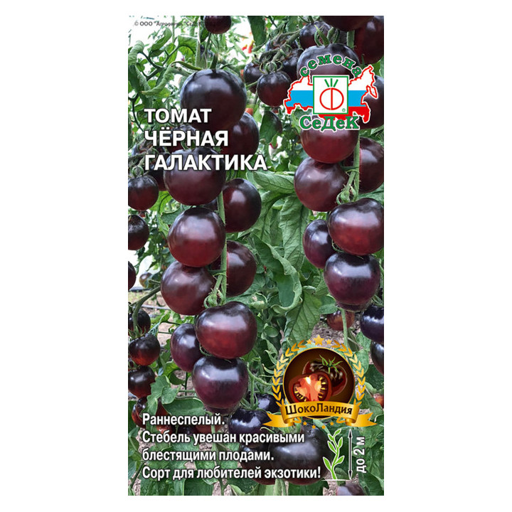 ЧЕРНАЯ ГАЛАКТИКА