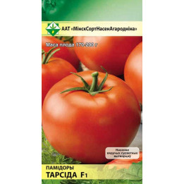 КУЗЬМА