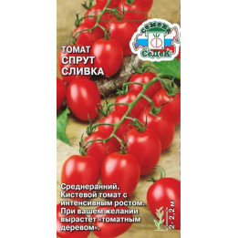 СПРУТ СЛИВКА