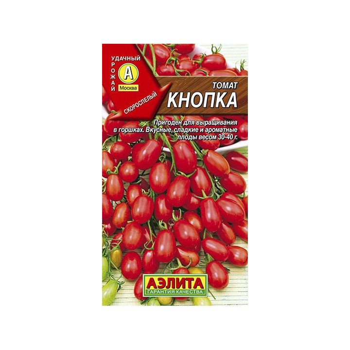КНОПКА