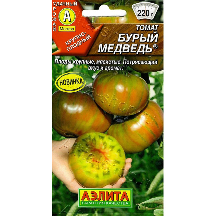 БУРЫЙ МЕДВЕДЬ
