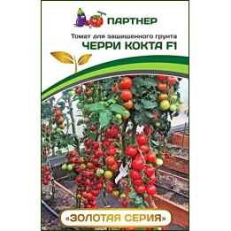 КОКТА