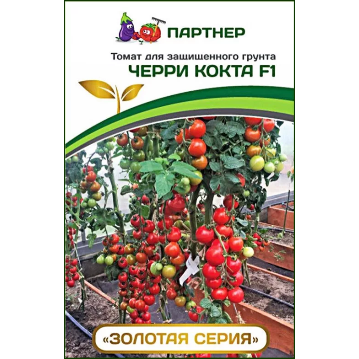 КОКТА