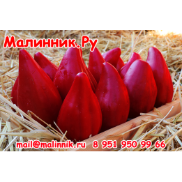 ПЛАМЕННЫЙ