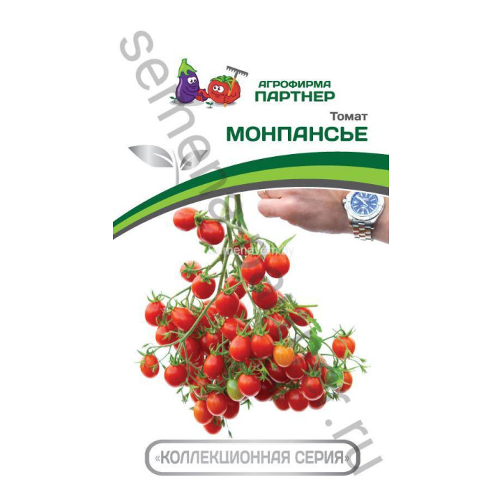МОНПАНСЬЕ