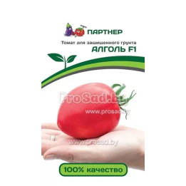 АЛГОЛЬ