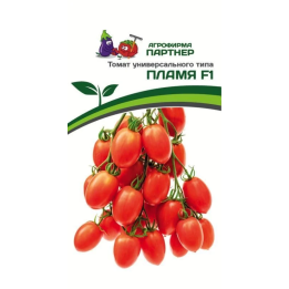 ПЛАМЯ