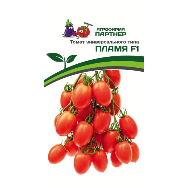 ПЛАМЯ