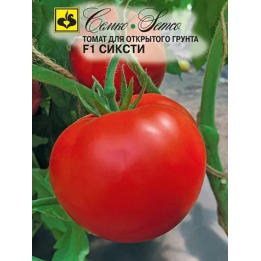 СИКСТИ