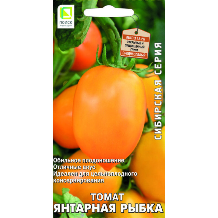 ЯНТАРНАЯ РЫБКА