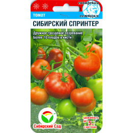 СИБИРСКИЙ СПРИНТЕР