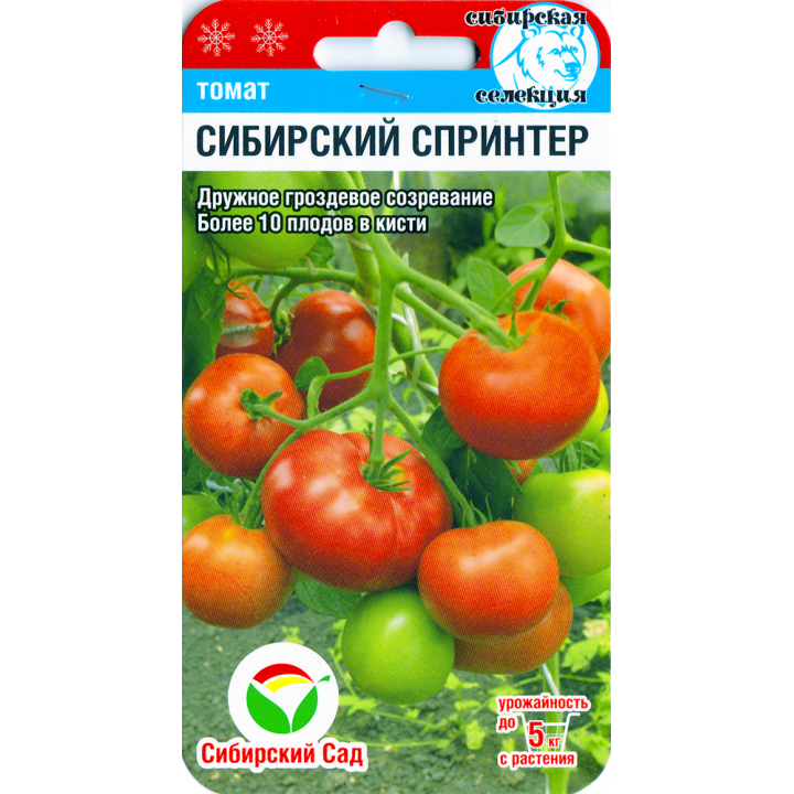 СИБИРСКИЙ СПРИНТЕР