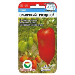 СИБИРСКИЙ ГРОЗДЕВОЙ