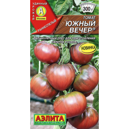 ЮЖНЫЙ ВЕЧЕР
