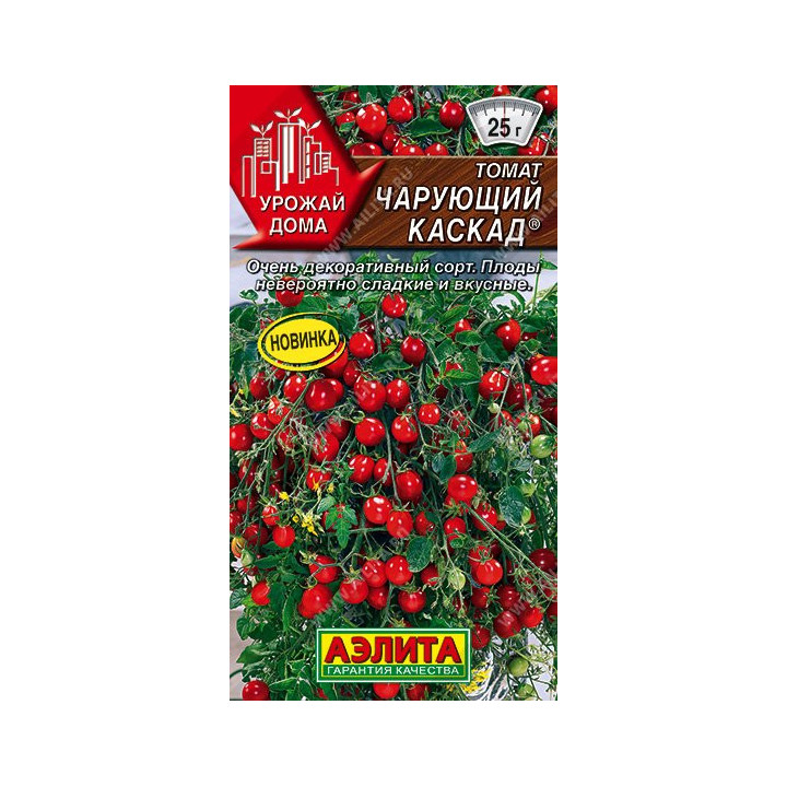 ЧАРУЮЩИЙ КАСКАД