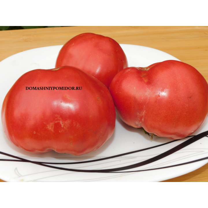 АРКАИМ