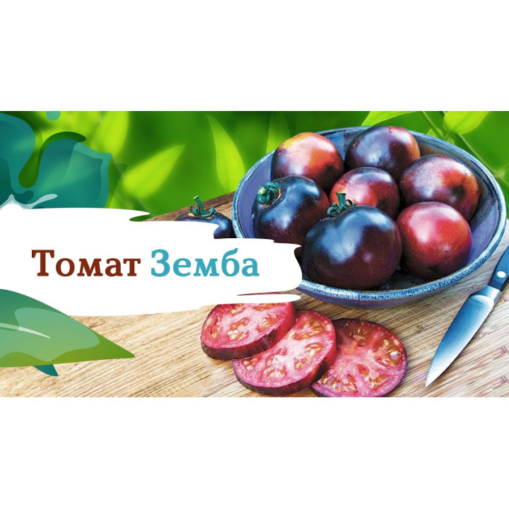 ЗЕМБА