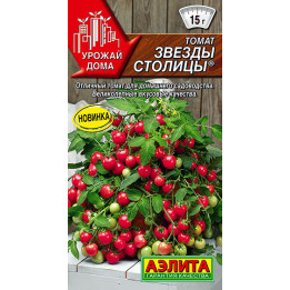 ЗВЕЗДЫ СТОЛИЦЫ