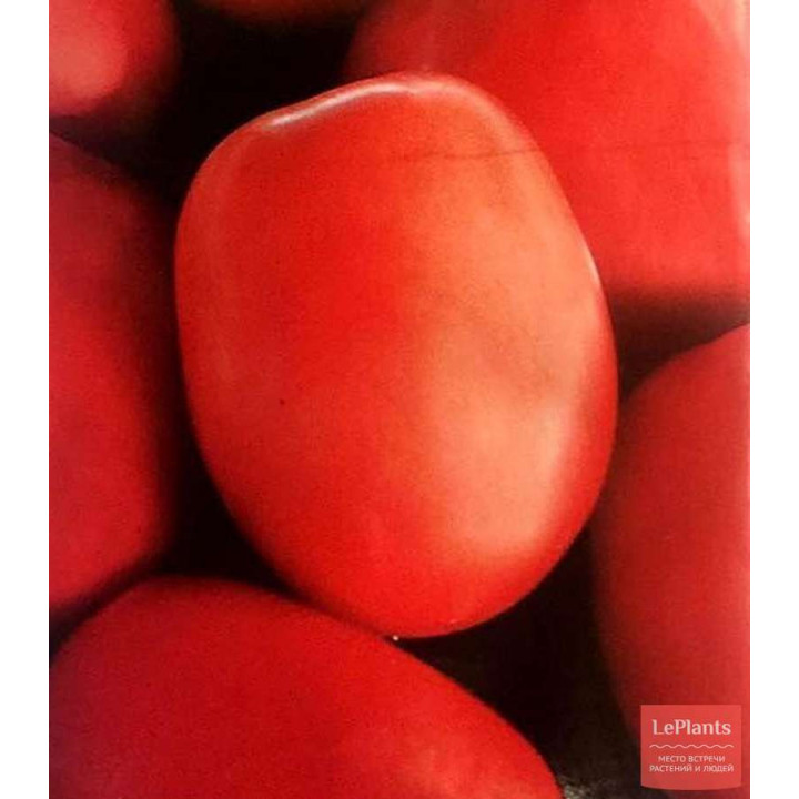 ЛУННЫЙ