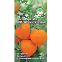 НЕПАС 4