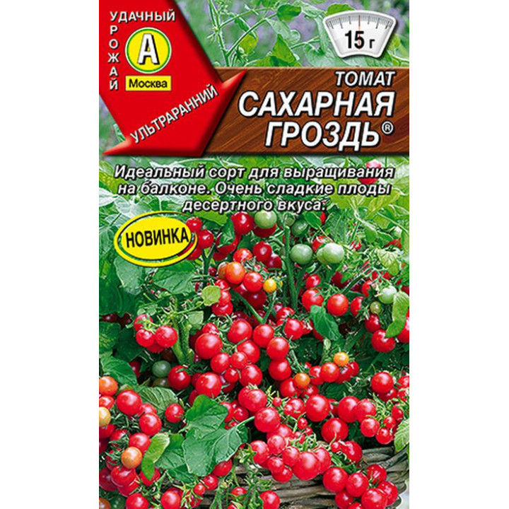 САХАРНАЯ ГРОЗДЬ