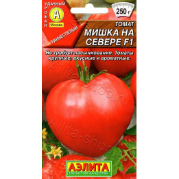 МИШКА НА СЕВЕРЕ
