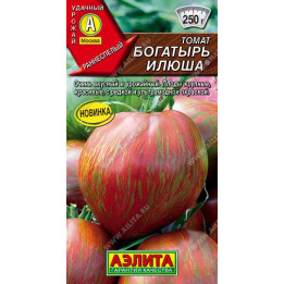 БОГАТЫРЬ ИЛЮША